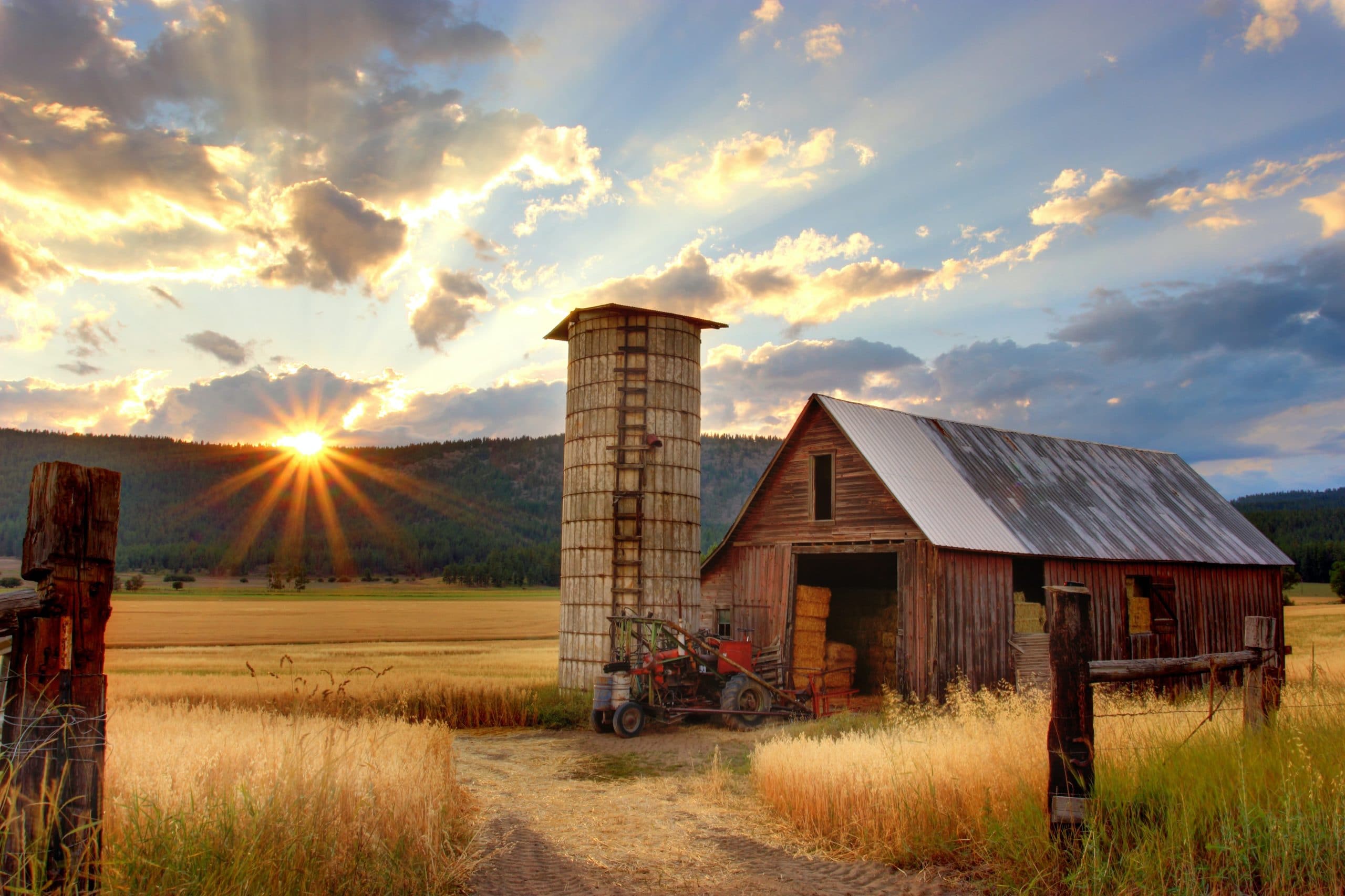 farm with a barn and wheat barrel
