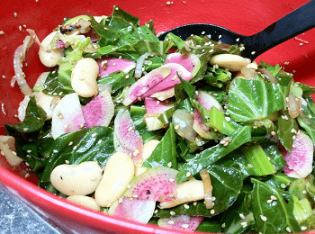 Sesame Butter Bean and Watermelon Radish Salad