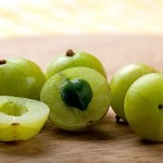 amalki berries