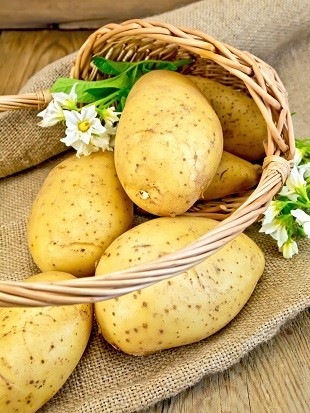 basket of potatoes