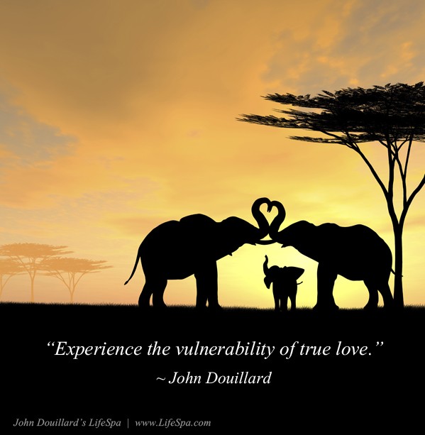 elephant heart