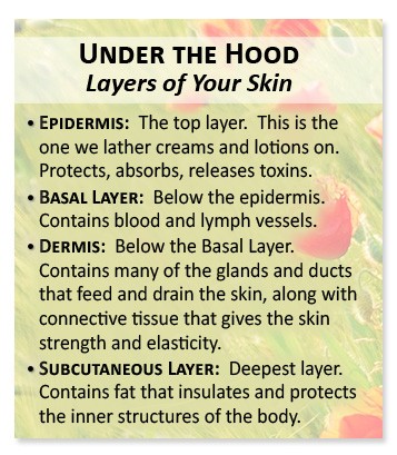 layers of your skin