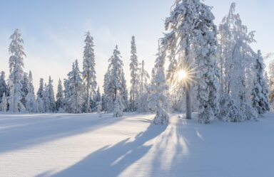 10 Reasons to Remember Your Vitamin D This Winter
