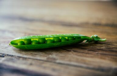 The Gut-Health Crisis: How Microbial Diversity + Fiber Can Protect Us from Disease