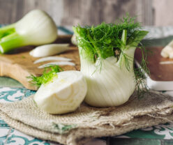 Cream of Fennel Soup