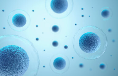 Can NAD+ Supplements Fuel Cancer? A Warning on the Hidden Risks of NMN and NR