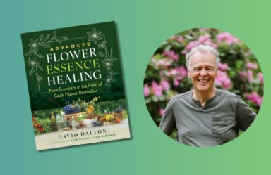 Podcast Episode 167: Flower Essences for Advanced Healing with David Dalton